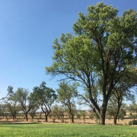 Finca El Relax Colmenar de Oreja Dış mekan fotoğraf