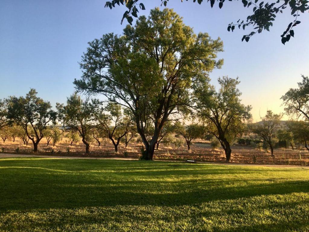 Finca El Relax Colmenar de Oreja Dış mekan fotoğraf