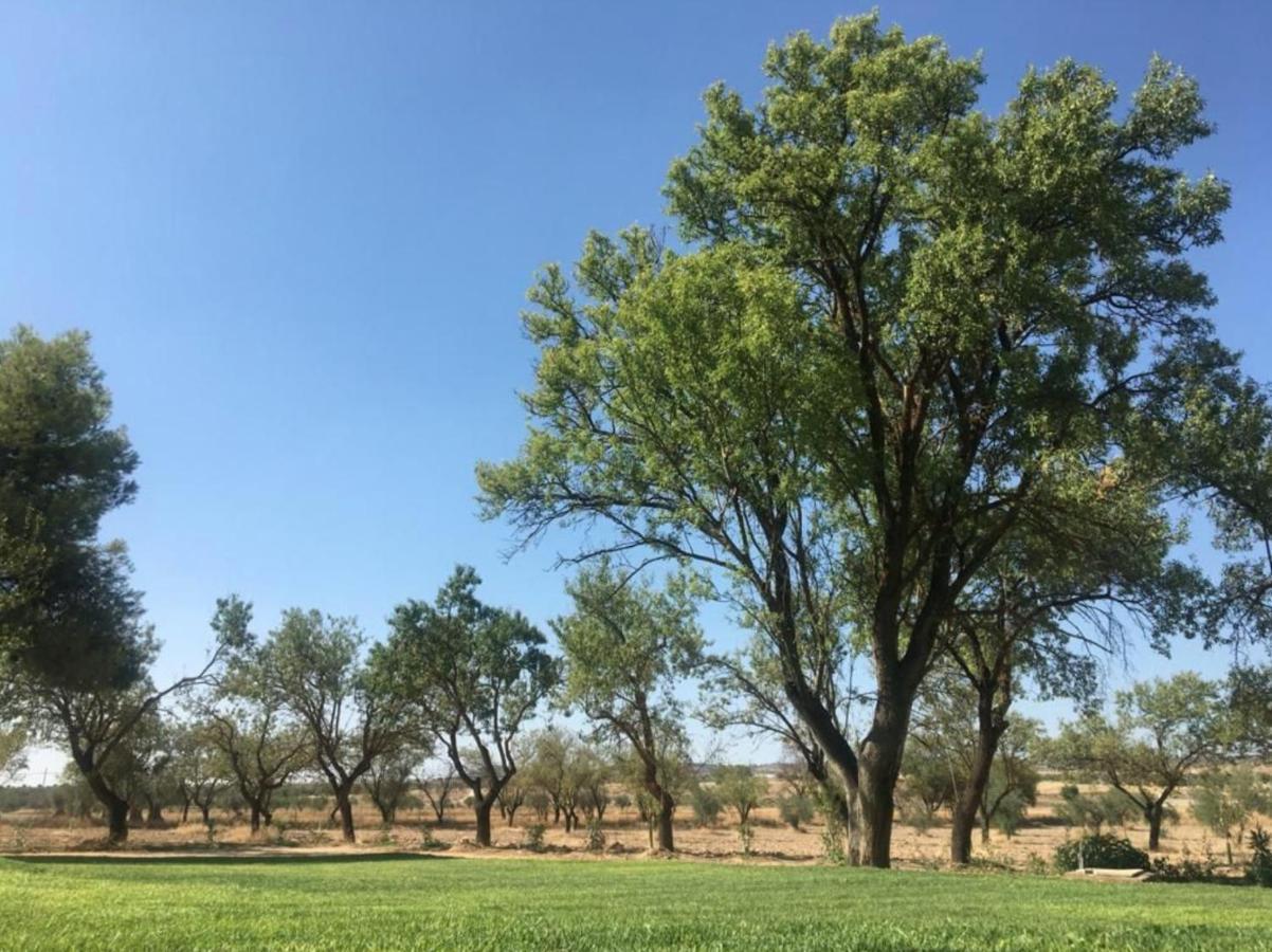 Finca El Relax Colmenar de Oreja Dış mekan fotoğraf